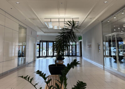 Cottonwood Mall Painting Project